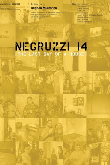 Negruzzi 14