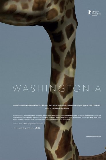 Washingtonia