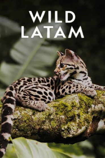 Latam i Egër