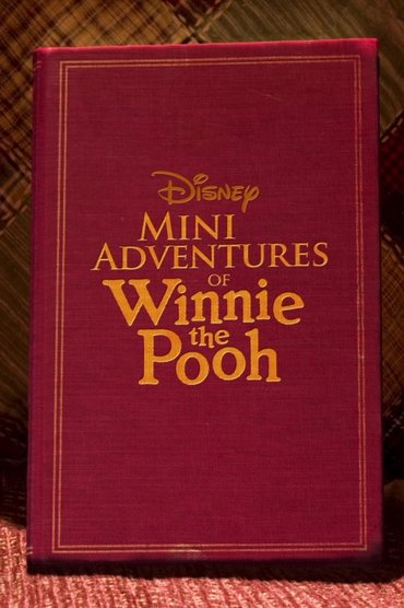 Mini Aventurat e Winnie Poohit