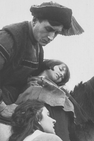 Der Ochsenkrieg