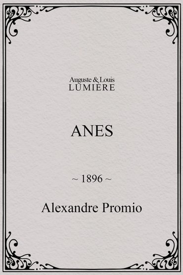 Anes