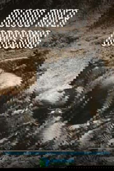 Blood River Crossing