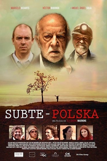 Subte: Polska