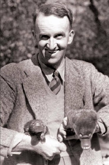 David Fleay