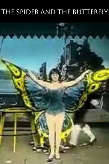 The Spider and the Butterfly