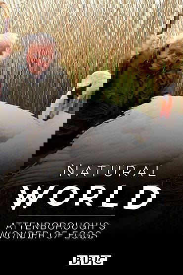 Attenborough's Wonder of Eggs