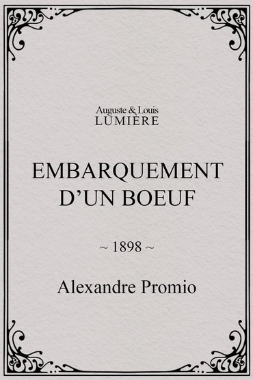 Embarquement d’un boeuf