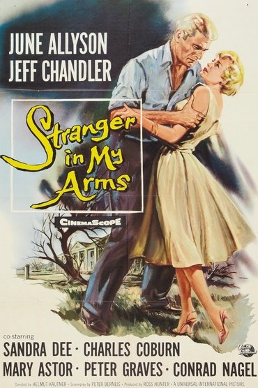 A Stranger in My Arms