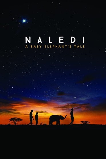 Naledi: A Baby Elephant's Tale