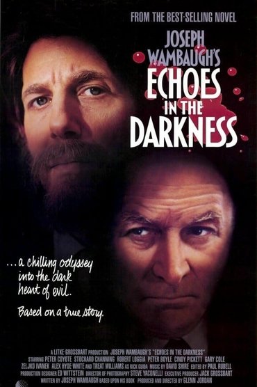 Echoes in the Darkness
