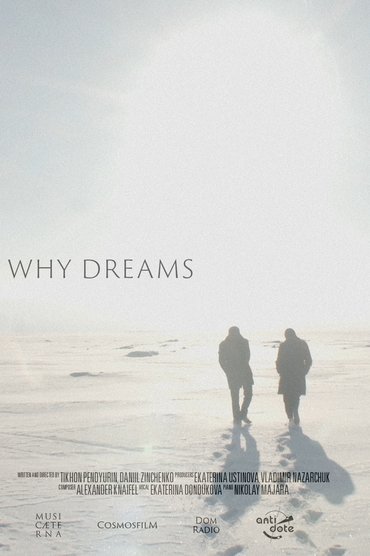 Why Dreams