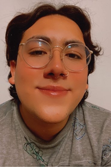 Ann Stucchi