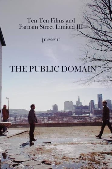 The Public Domain