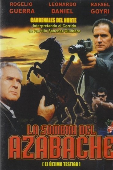 La sombra del azabache