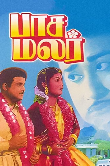 Pasamalar