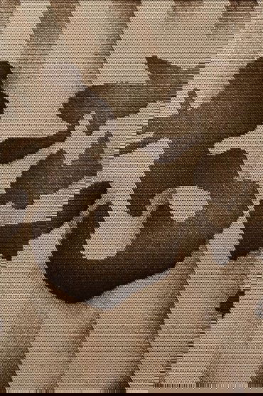 Jim Zipper