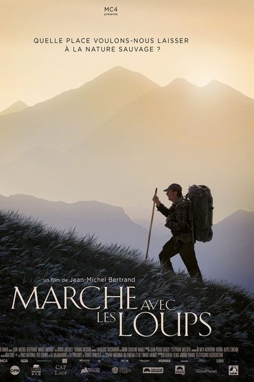 Marche avec les loups Affiche Marche avec les loups
