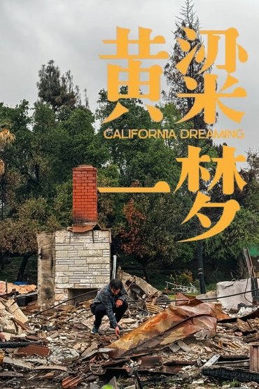 美洲大宝荐：黄粱一梦