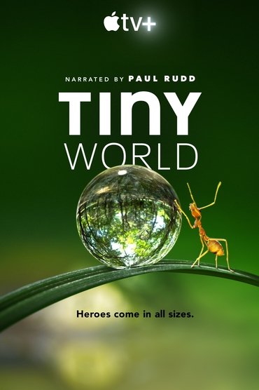 Tiny World Saison 1 Affiche Tiny World Saison 1