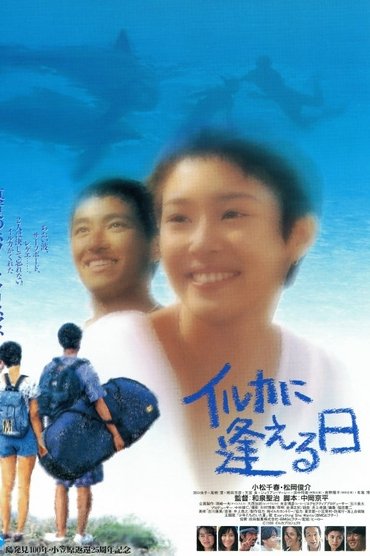 イルカに逢える日