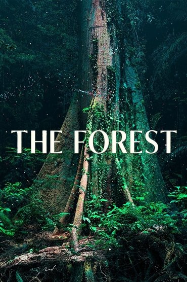 The Forest