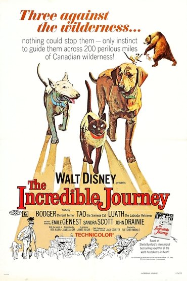 The Incredible Journey