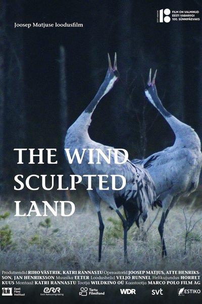 The Wind Sculpted Land Poster