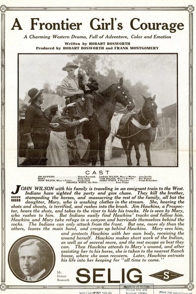 A Frontier Girl's Courage Poster