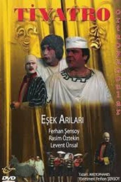 Eşek Arıları Poster
