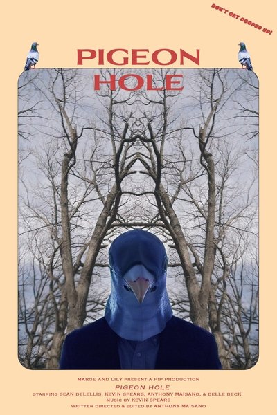 Pigeon Hole