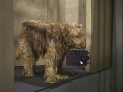 Soy solo un humano poster