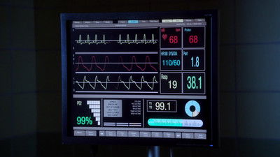 El deduccionista poster