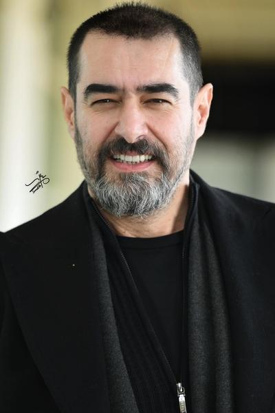 Shahab Hosseini