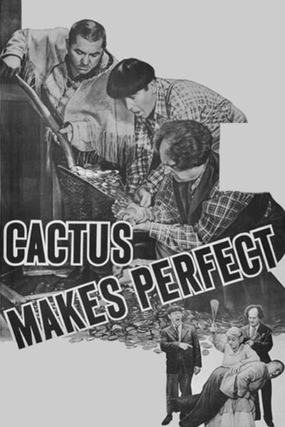 Cactus Makes Perfect Poster