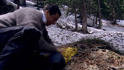 European Alps poster