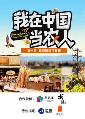 From For Lands to Chinas Farmlands