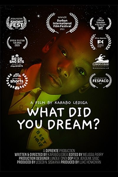 What Did You Dream? Poster
