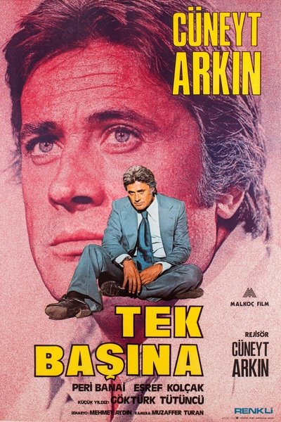 Tek Başına Poster