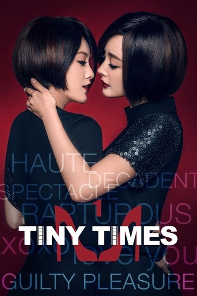 Tiny Times Poster