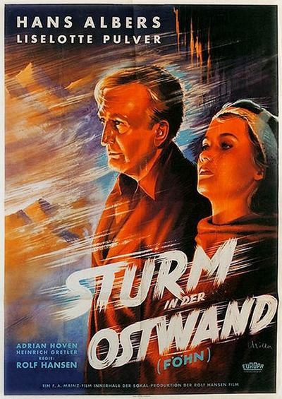 Föhn Poster