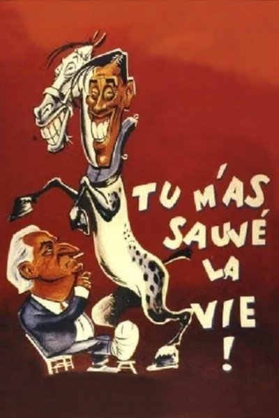 Tu m'as sauvé la vie Poster