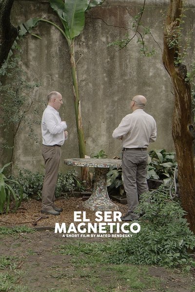 The Magnetic Nature Poster