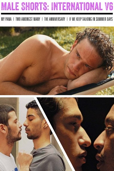 Male Shorts: International V6 Poster