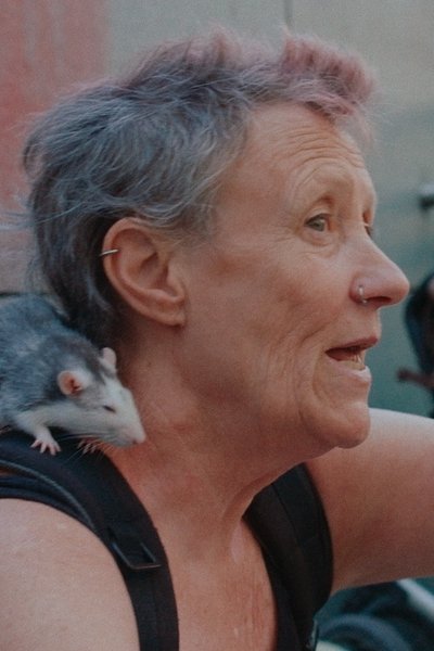 Alles ist hin Poster