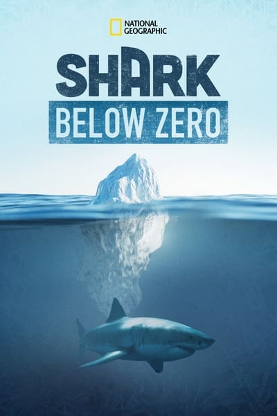 Shark Below Zero Online em HD