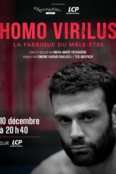 Homo virilus : la fabrique du mâle-être