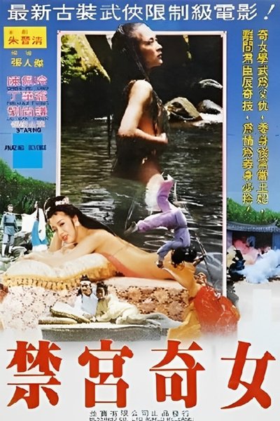 Amazing Revenge Poster