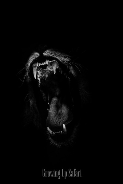 Animal Planet: Growing Up Safari