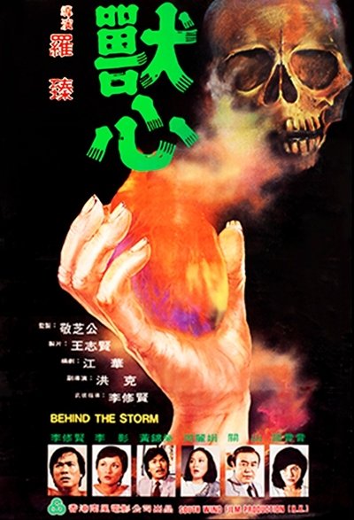 Behind the Storm Poster